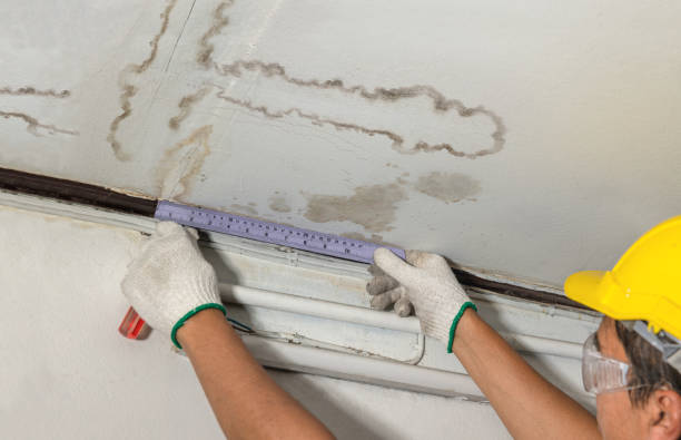 Reliable Water Damage contractor in Whittaker, MI by Water Damage Irwin